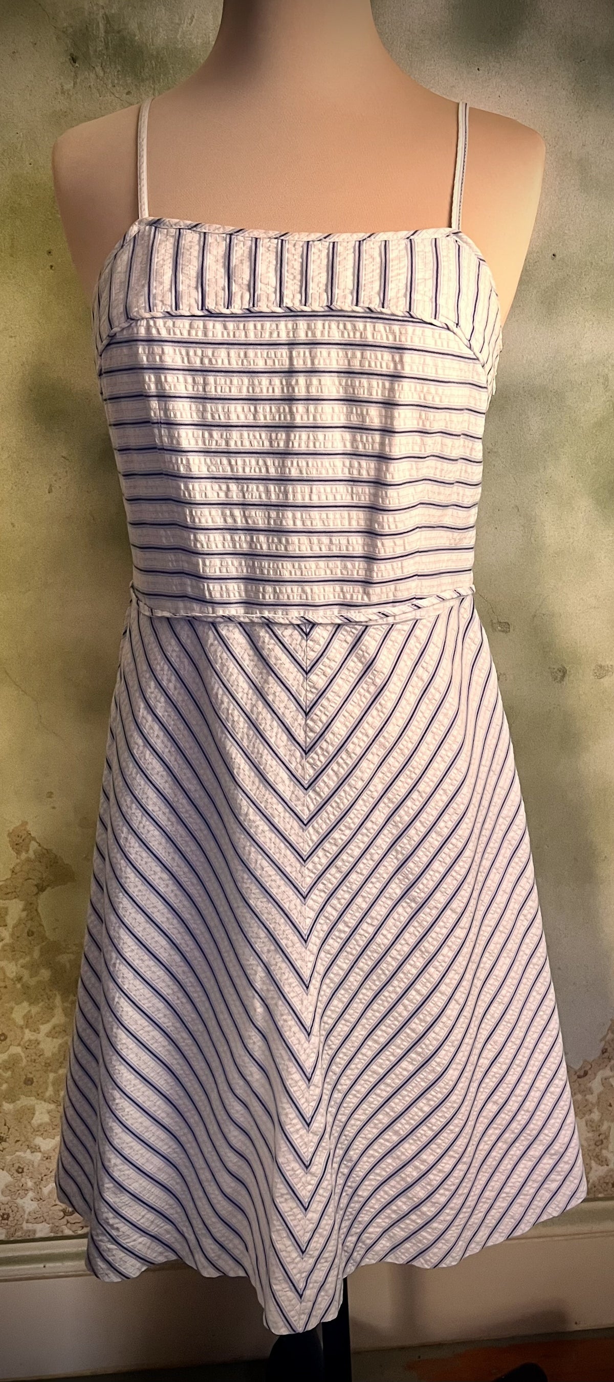 Tommy Hilfiger Petite 6P Blue White