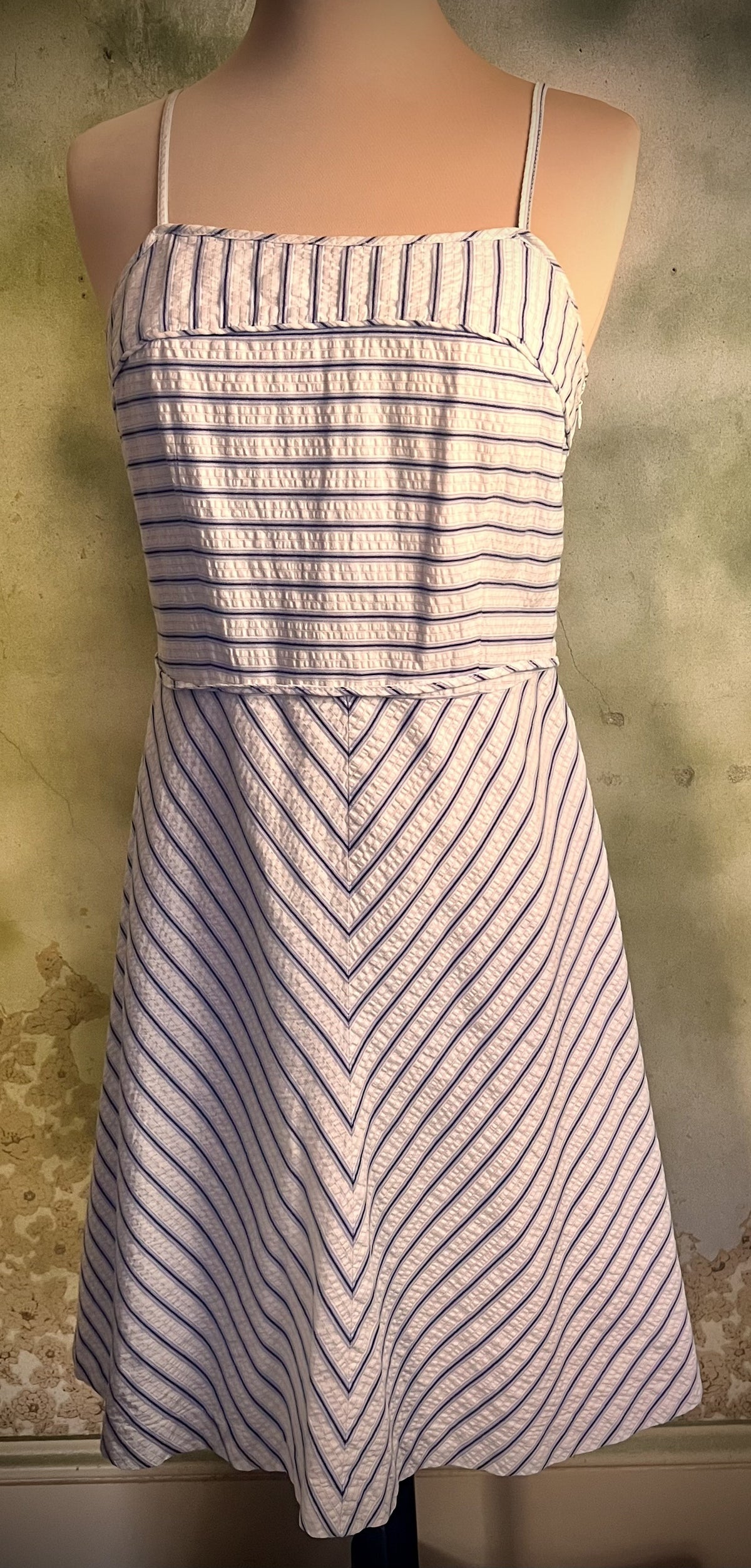 Tommy Hilfiger Petite 6P Blue White