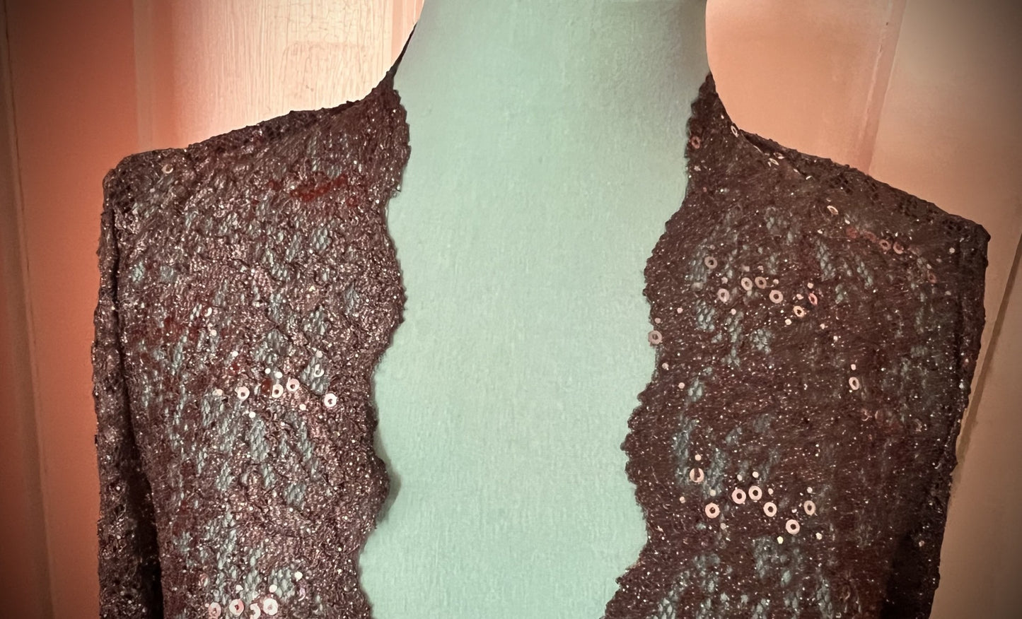 ✨ R&M Richards Silver Lace & Sequin Jacket — Size 6