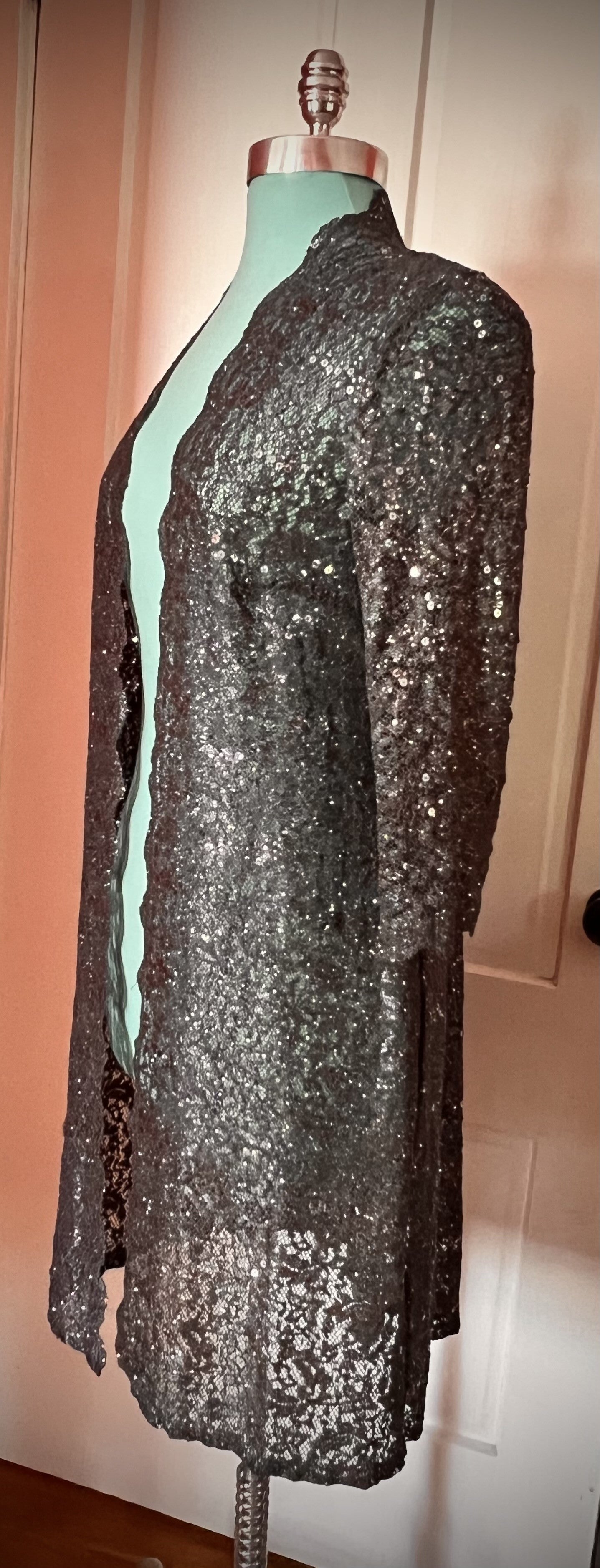✨ R&M Richards Silver Lace & Sequin Jacket — Size 6