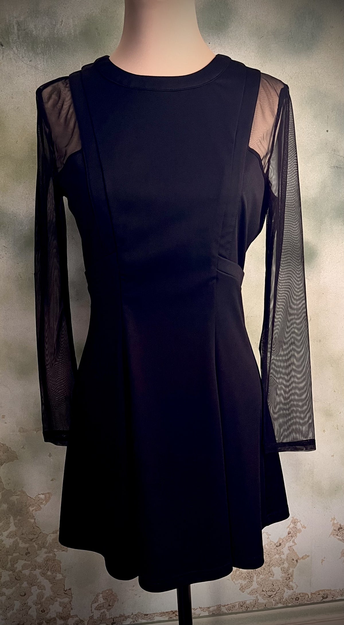 Black Sheer Mesh Sleeve Fit & Flare Dress Size Medium