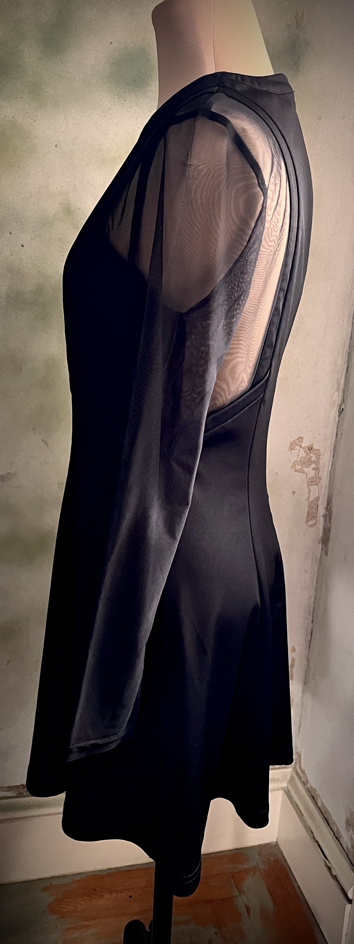 Black Sheer Mesh Sleeve Fit & Flare Dress Size Medium