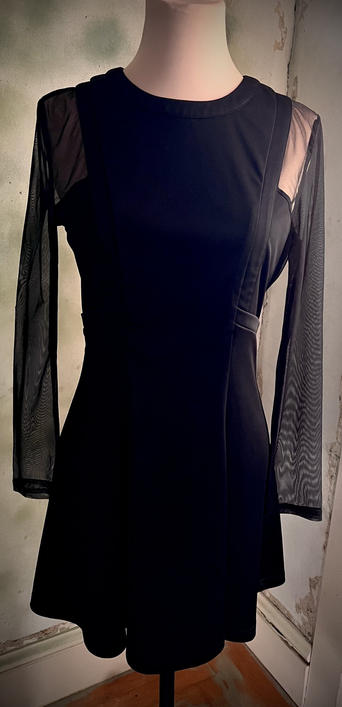 Black Sheer Mesh Sleeve Fit & Flare Dress Size Medium