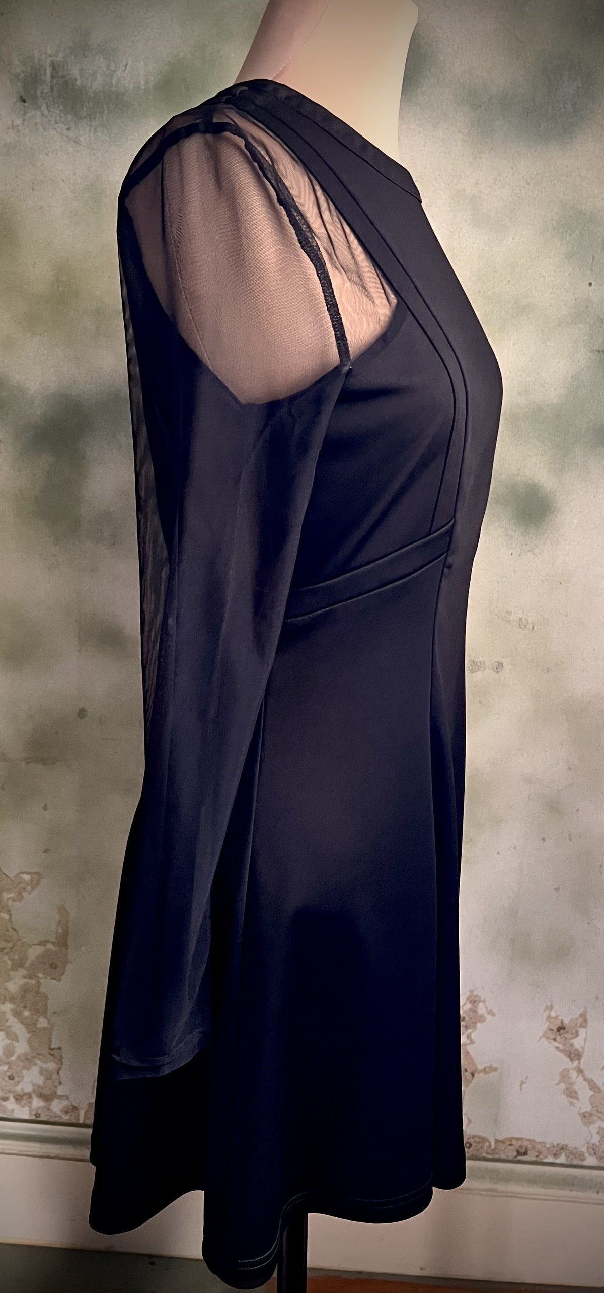 Black Sheer Mesh Sleeve Fit & Flare Dress Size Medium