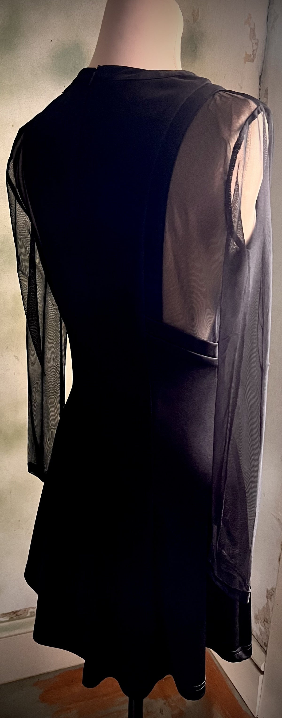 Black Sheer Mesh Sleeve Fit & Flare Dress Size Medium